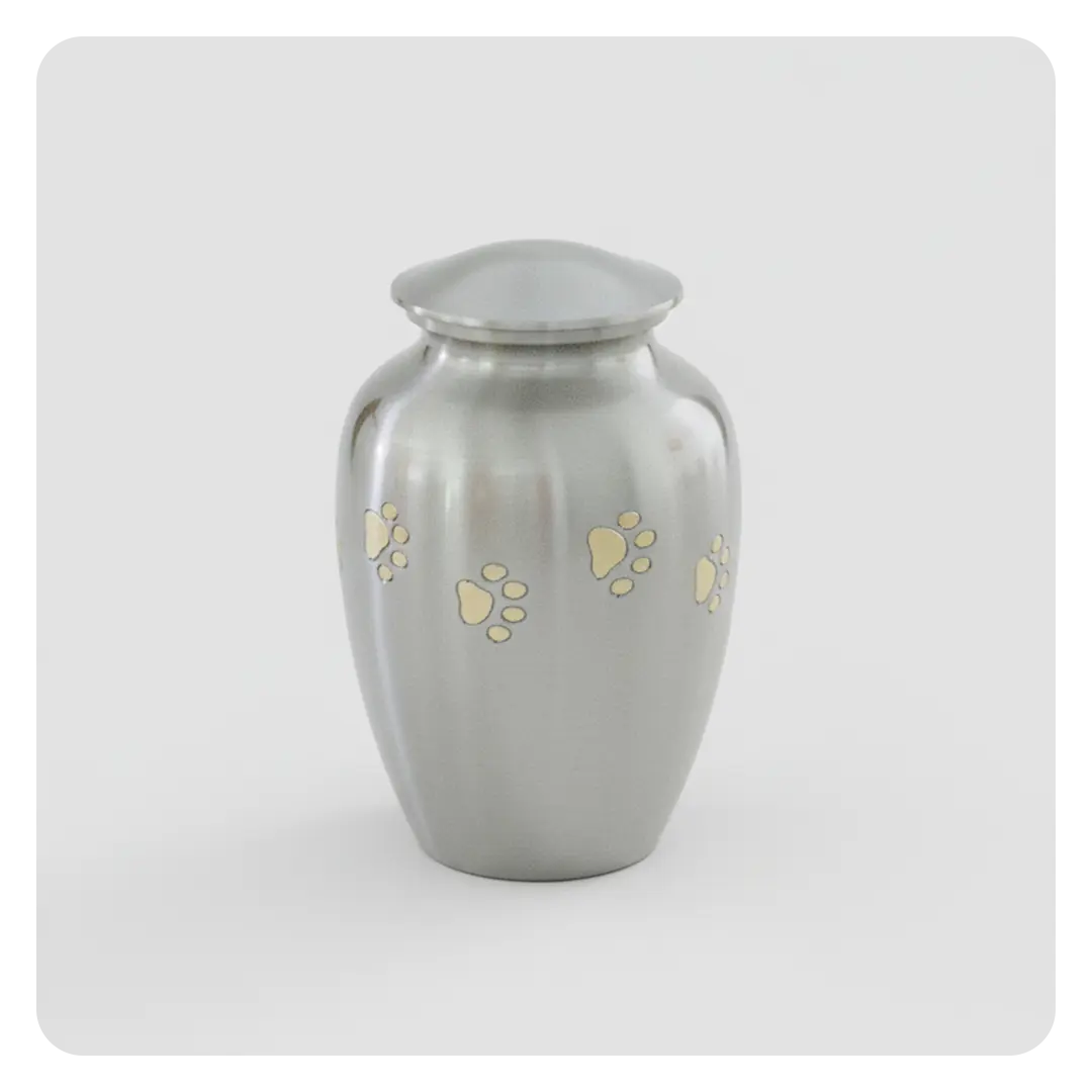 Classic urn - silver with golden paw prints